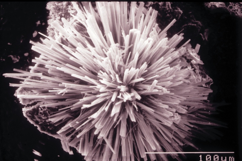 File:Oxalat Kristalle Musterplatte.jpg