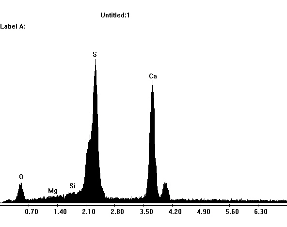 EDX spectrum of gypsum in the SEM