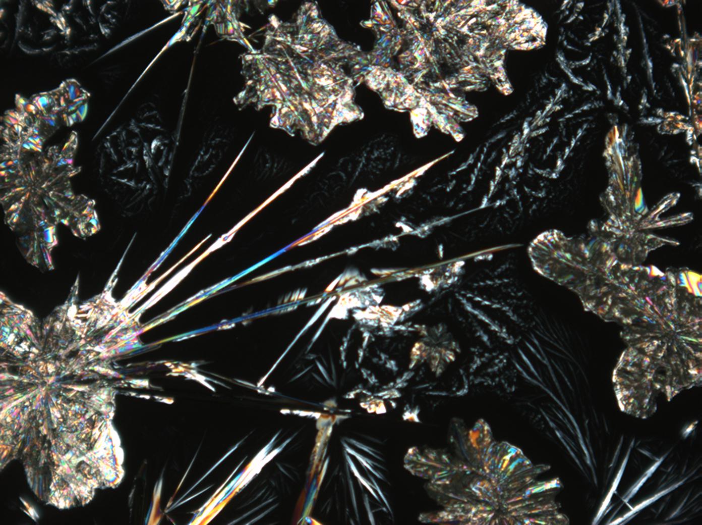 Abbildung 33: Natriumcarbonatkristalle unter polarisiertem Licht Ausschnitt von vorherigem Foto
