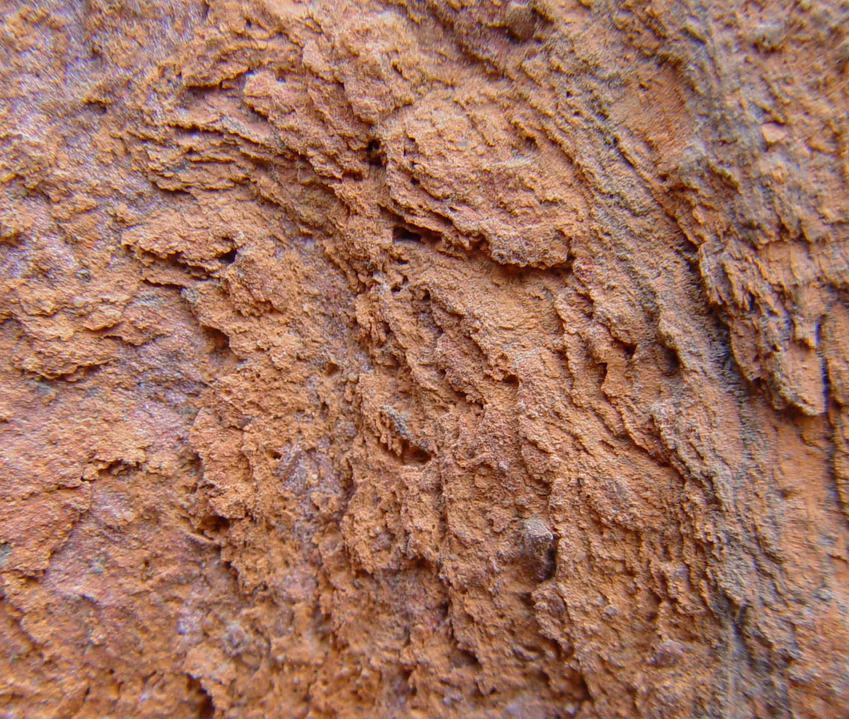 Abbildung LEERZEICHEN 1: Der geschädigte Ziegel zeigt eine schuppige Oberfläche, die durch auskristallisierende Salze verursacht wurde.