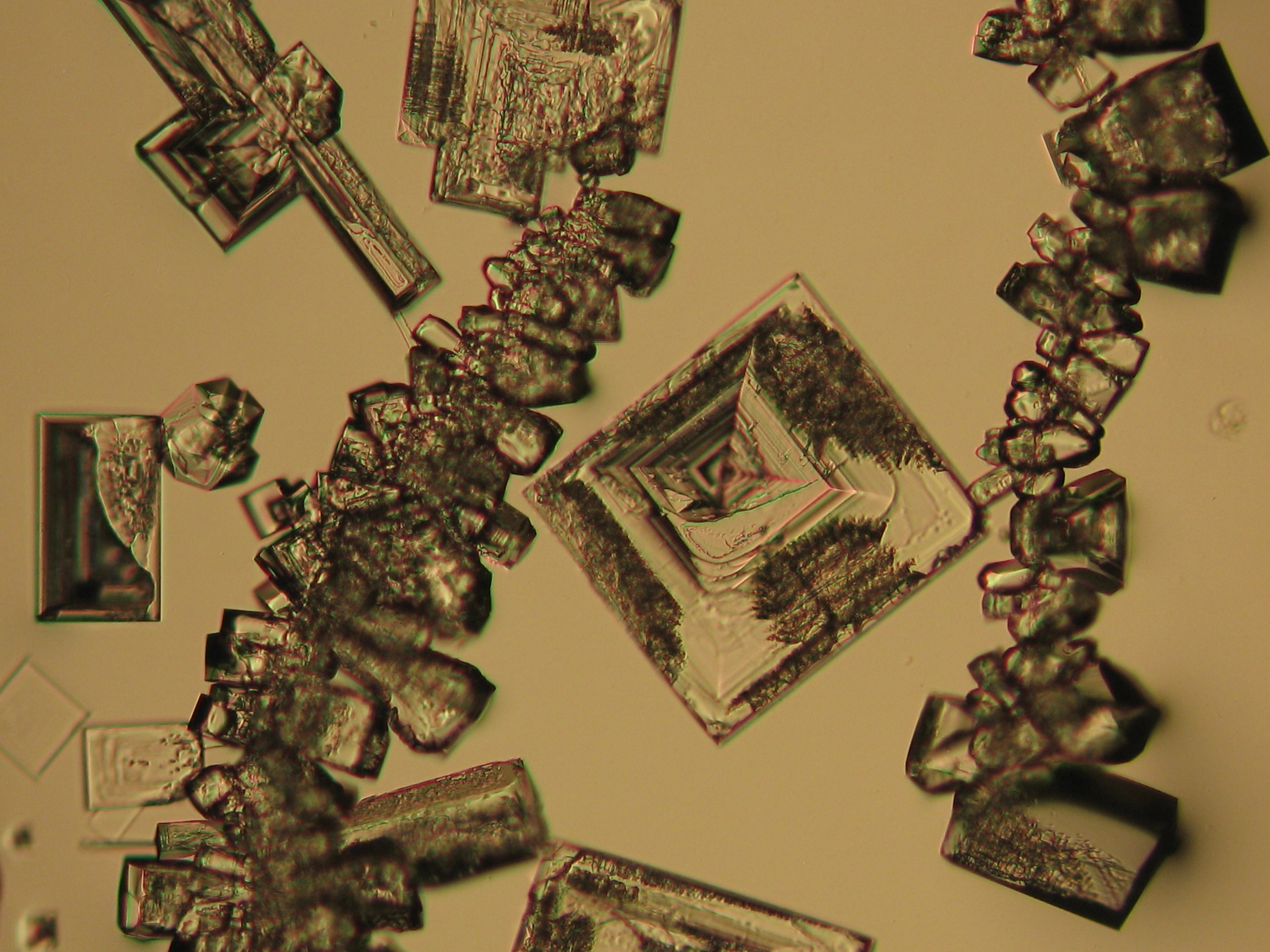 Abbildung 1: Halitkristalle unter polarisiertem Licht