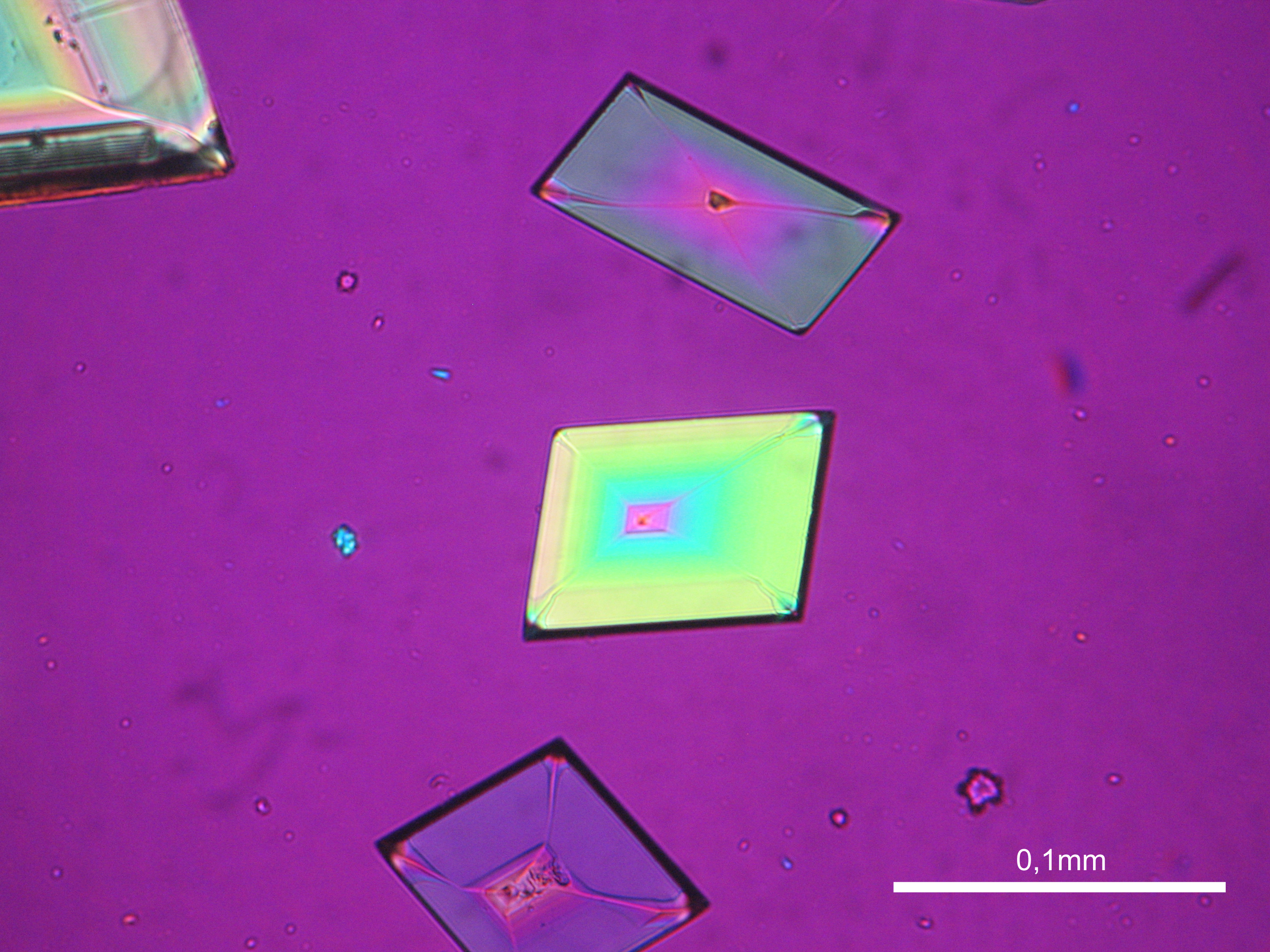 Abbildung 29 :Natriumsulfatkristalle unter polarisiertem Licht mit Analysator und Rot I