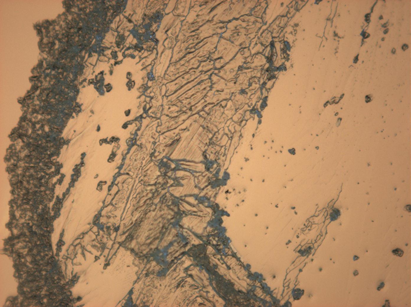 Abbildung 21:Magnesiumsulfatkristalle unter polarisiertem Licht