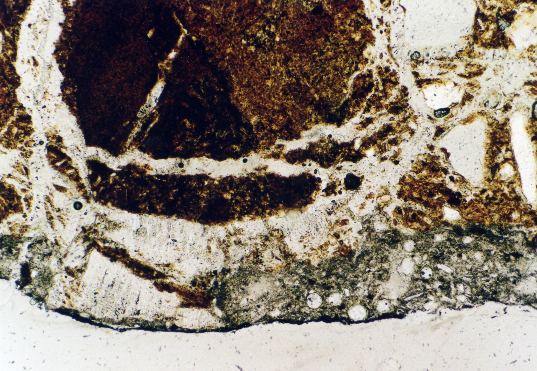Figure 2: Photo of a thin section in polarized light. The grey parallel crystals are gypsum.