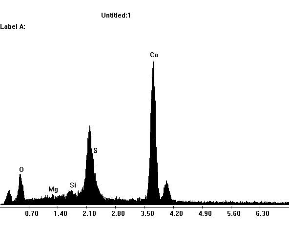 EDX spektra of gypsum crystals in a SEM