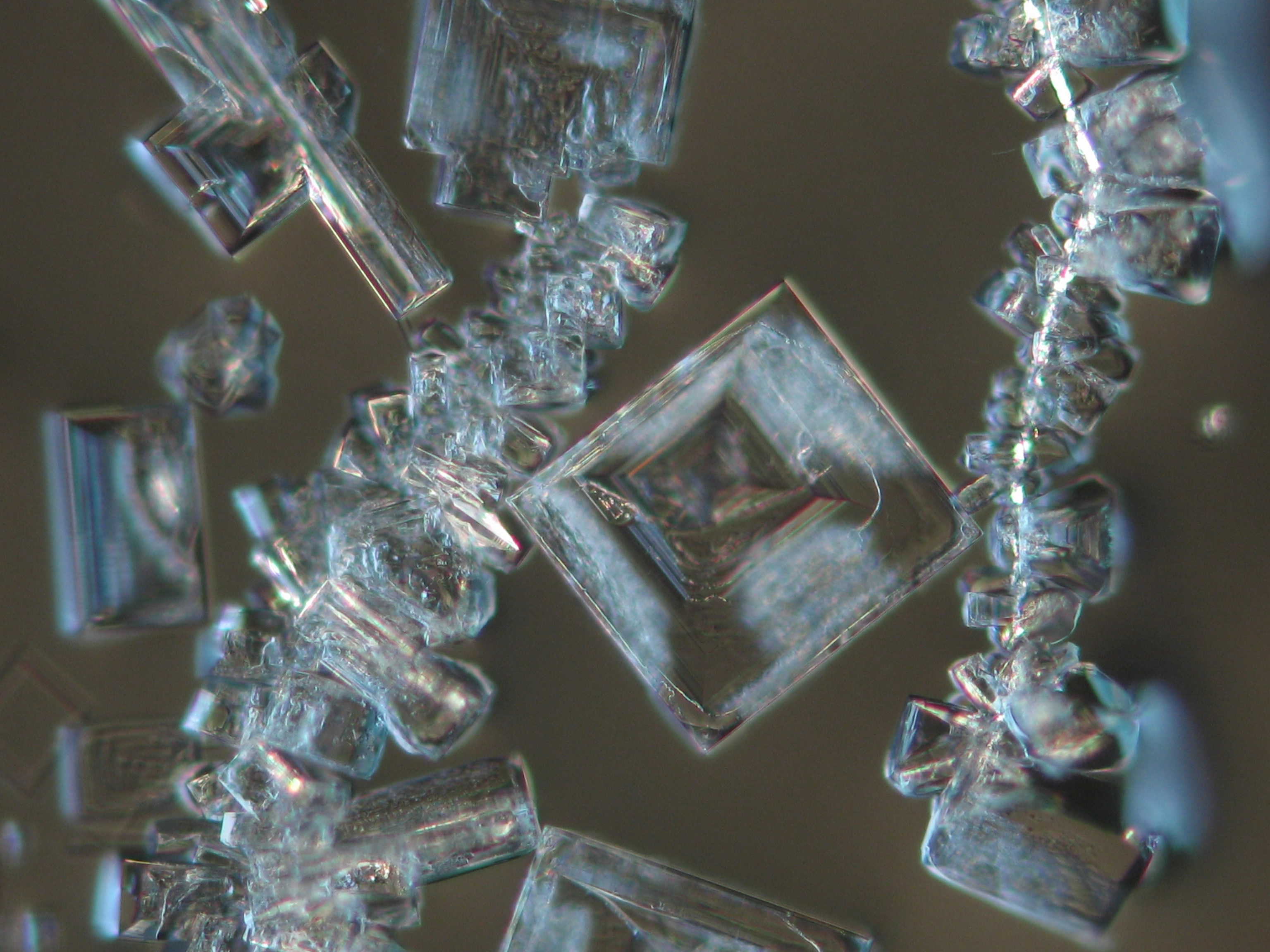 NaCl crystals on microscope slides
