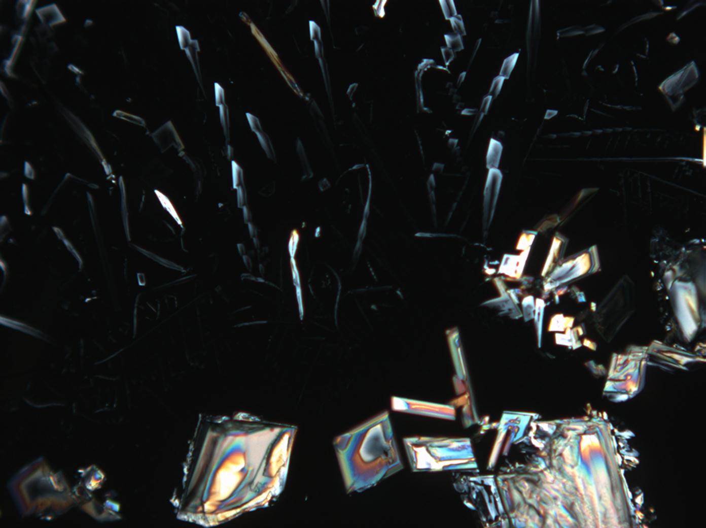 Abbildung 8:Kalumnitratkristalle unter polarisiertem Licht mit Analysator