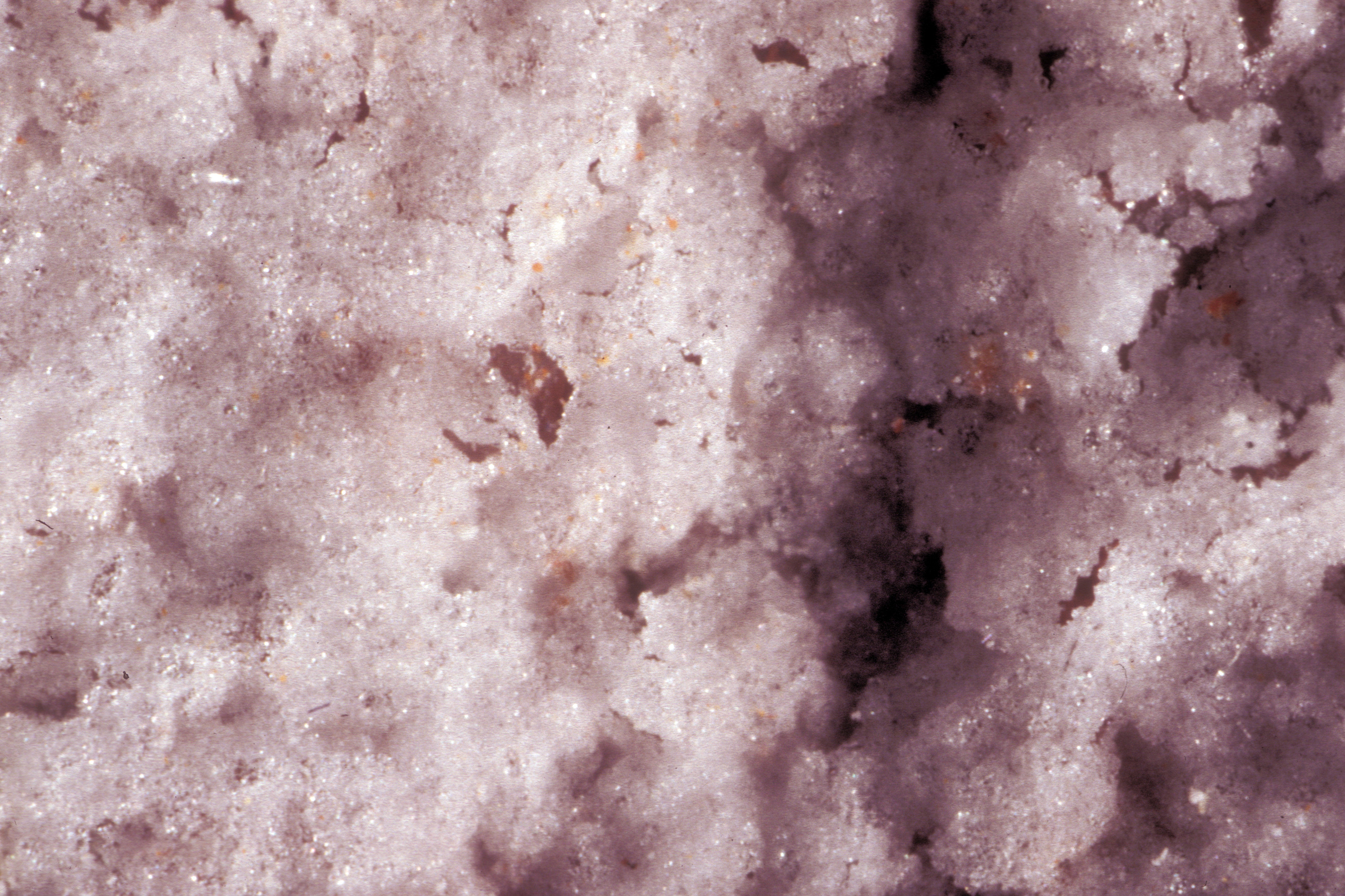 Halite crust on a brick surface