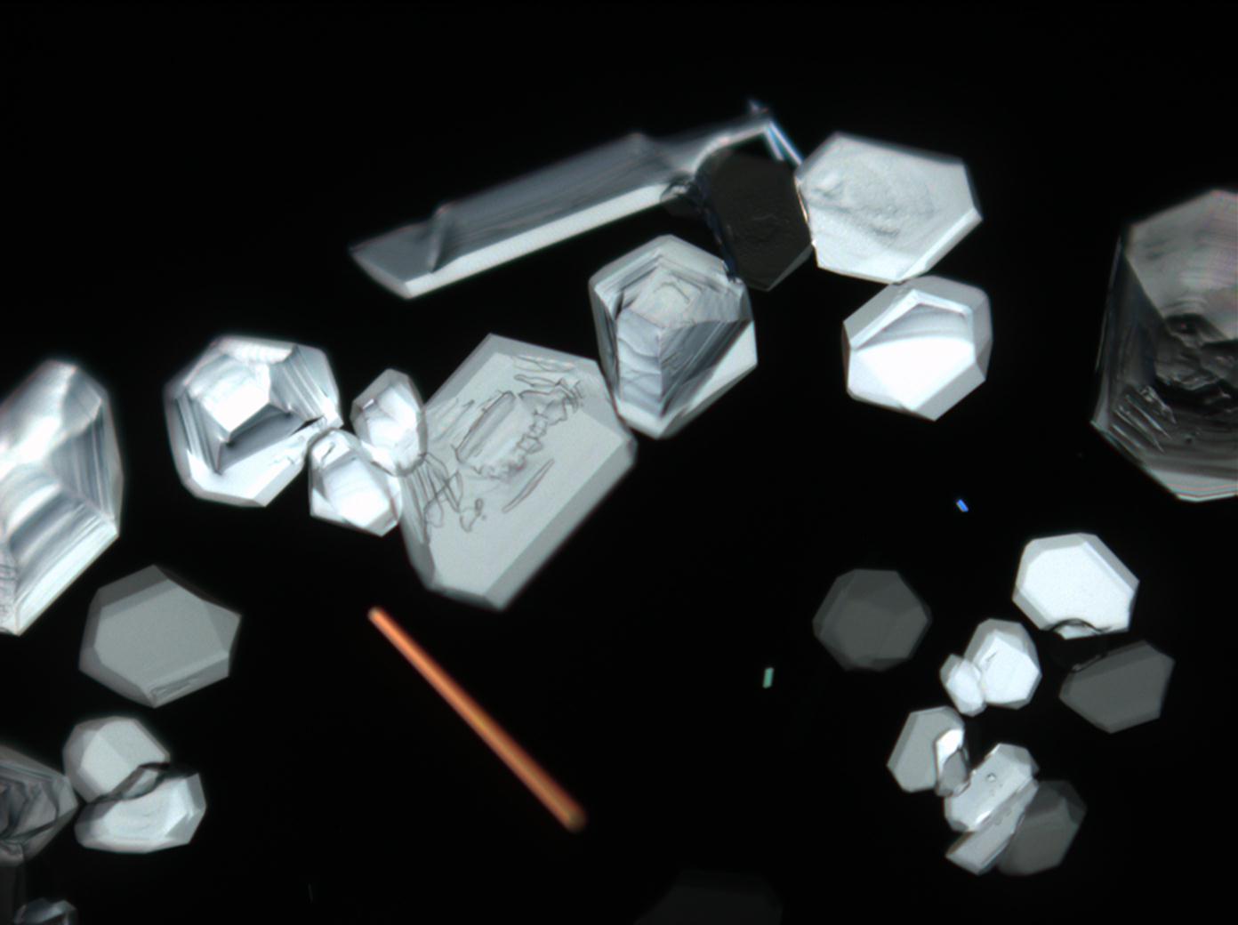 Abbildung 11:Calciumnitratkristalle unter polarisiertem Licht mit Analysator