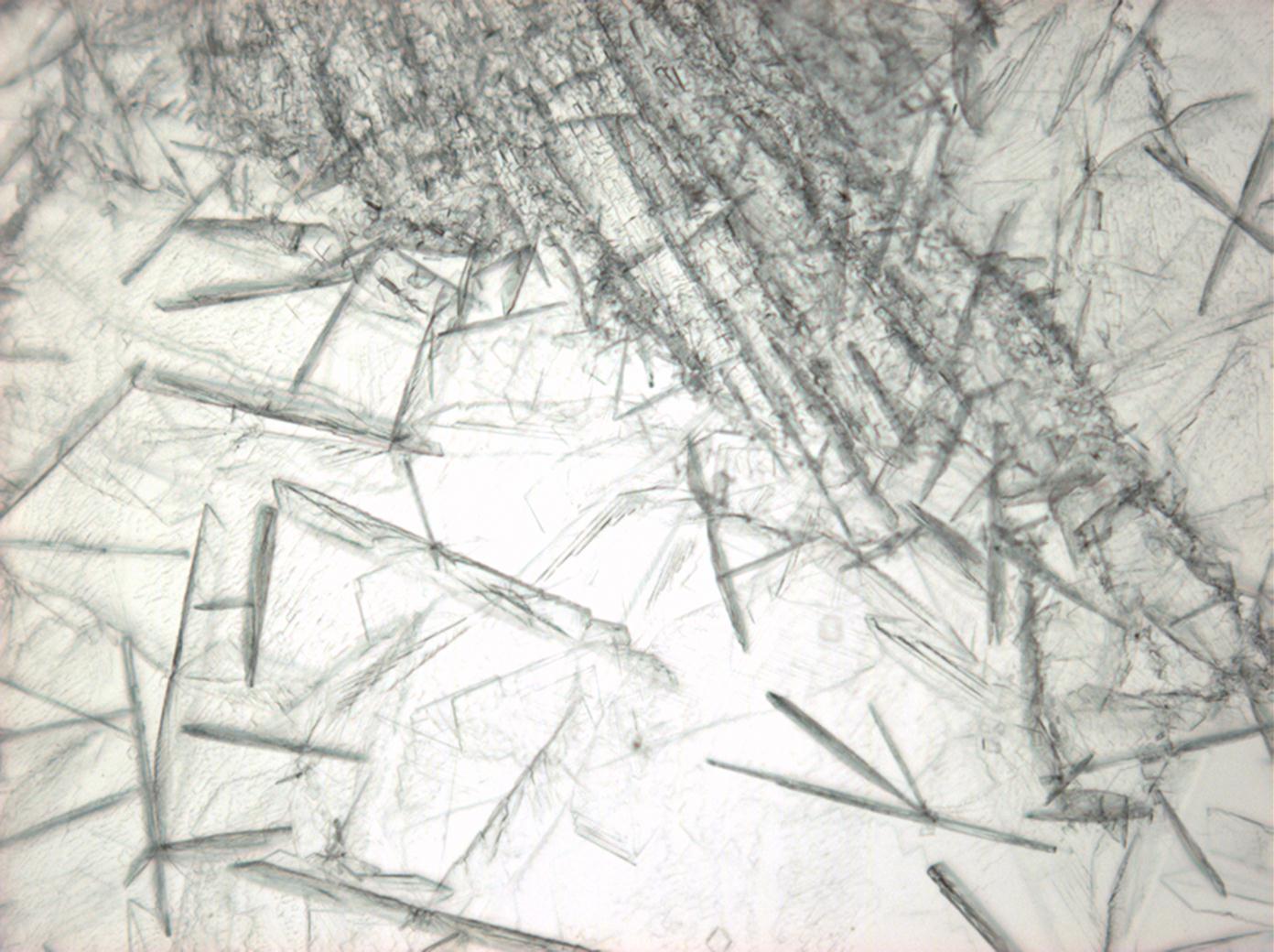 Abbildung 4: Calciumchloridkristalle unter polarisiertem Licht