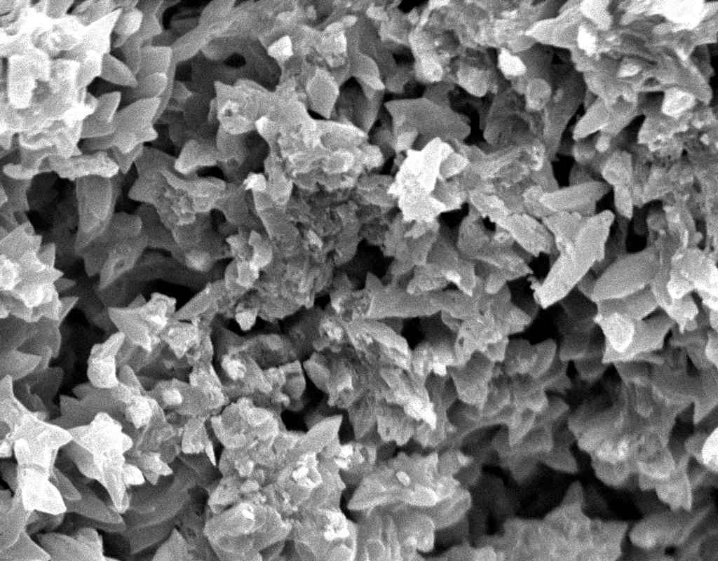 Gypsum crystals in a SEM