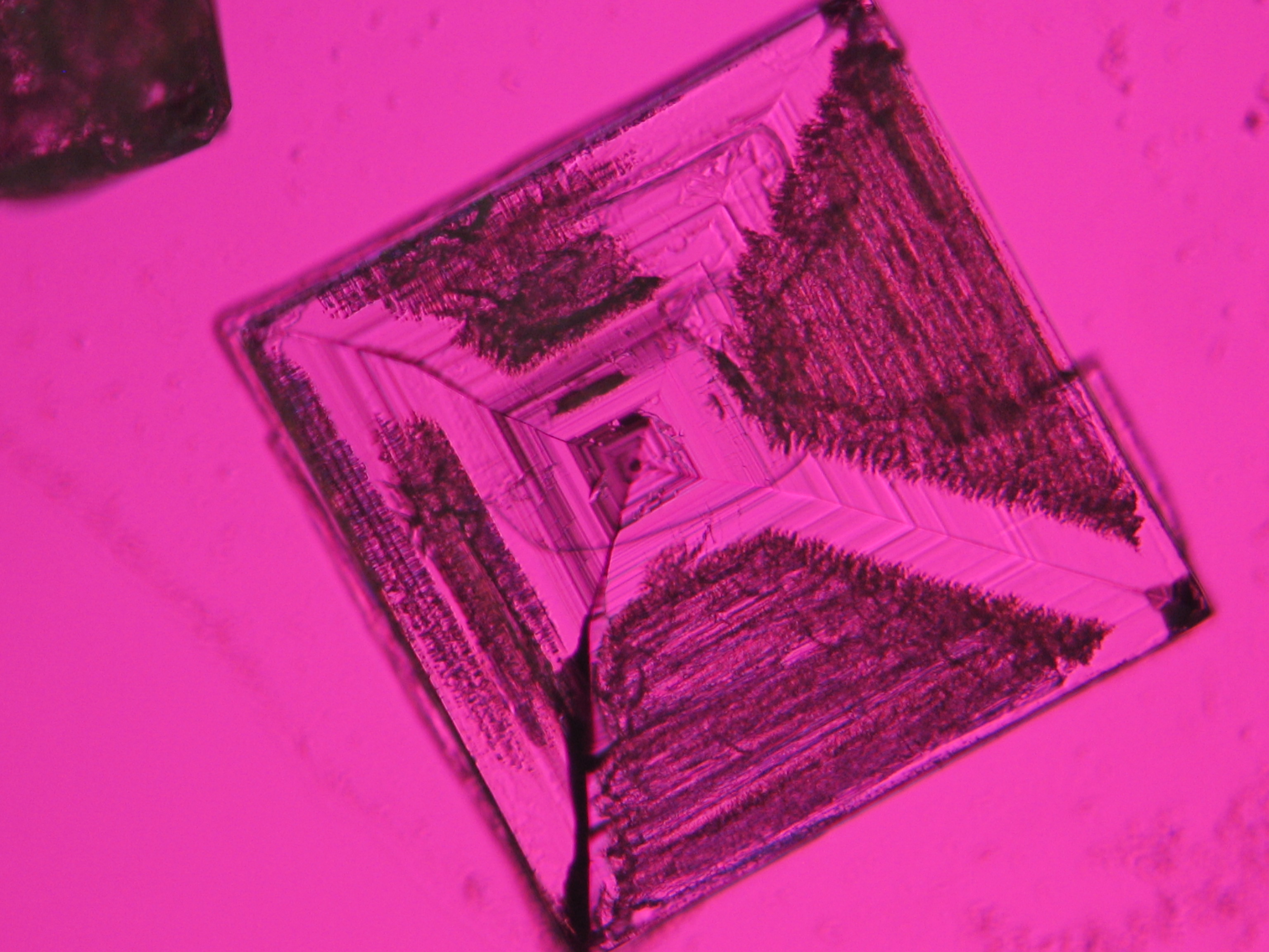 Abbildung 3: Halitkristalle unter polarisiertem Licht mit Analysator und Rot I