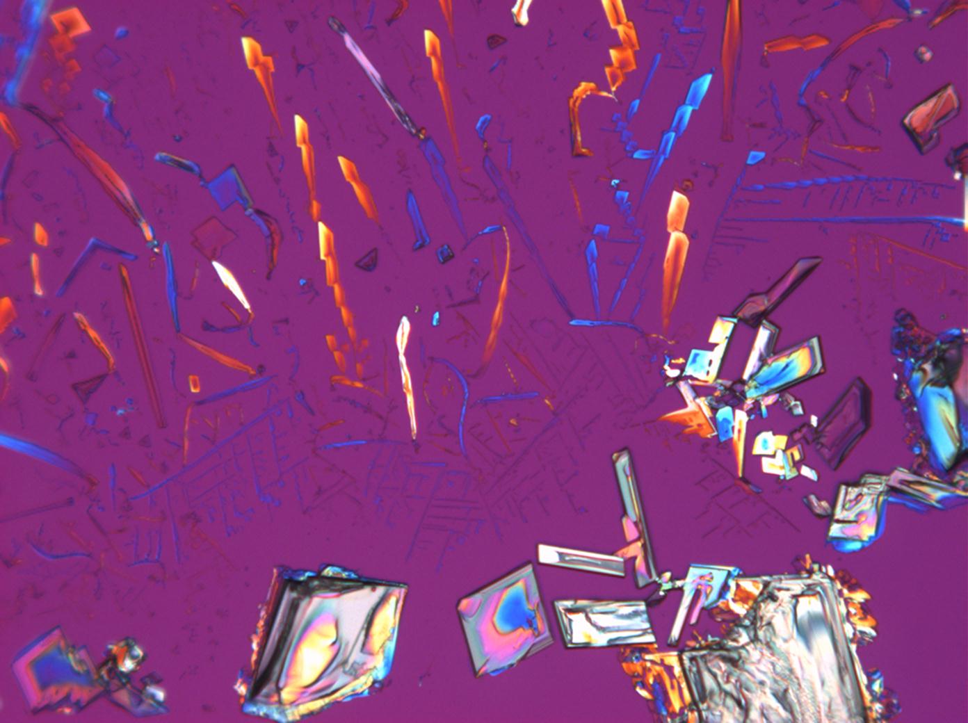 Abbildung 9:Kalumnitratkristalle unter polarisiertem Licht mit Analysator und Rot I